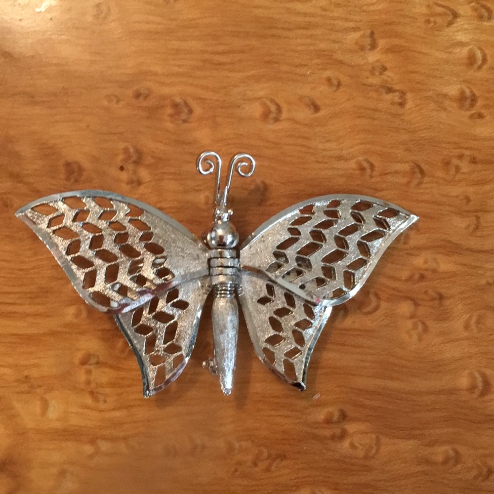Silver.butterfly pin. So pretty!